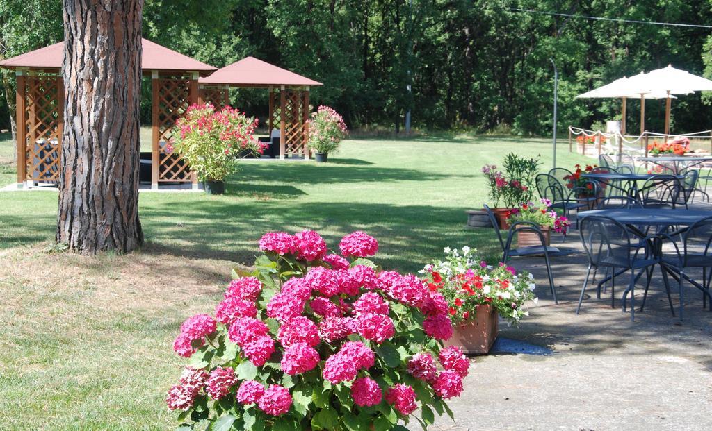 Agriturismo Antica Riserva Castiglione del Lago Bagian luar foto